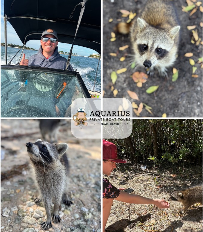 Articleas 1755048922 Why Raccoon Island In Miami Is The Perfect Destina